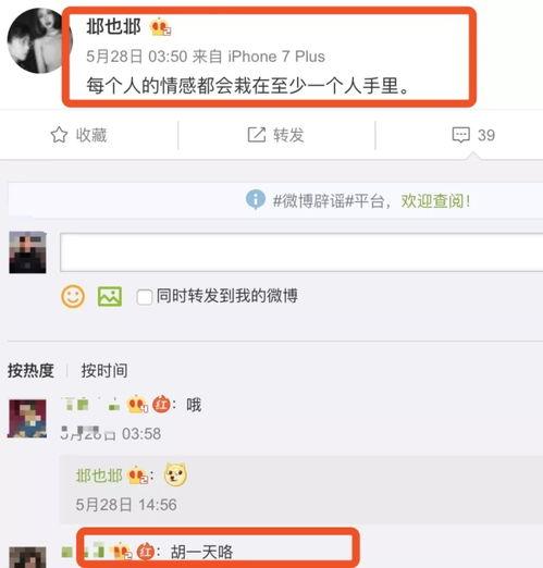 视频消息爆料人微博,事件背后惊人真相曝光