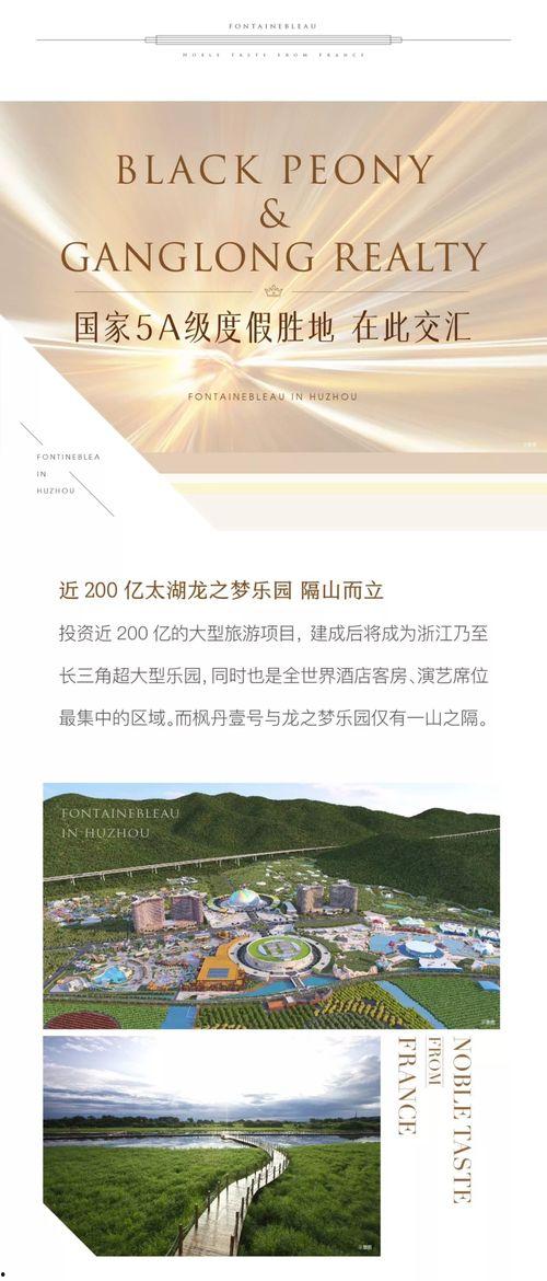 枫丹内部消息爆料最新,最新动态与未来展望