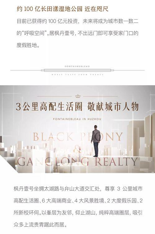 枫丹内部消息爆料最新,最新动态与未来展望