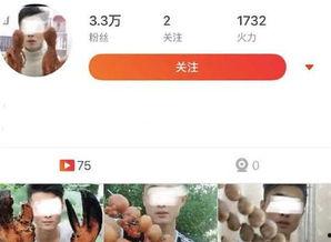 天津爆料小伙视频播放网站,小伙视频网站走红，揭秘热门视频背后的故事