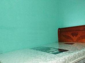 新瓜最新爆料宿舍,新瓜爆料揭开校园生活神秘面纱