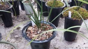 唐竹最新爆料,揭秘娱乐圈惊人内幕