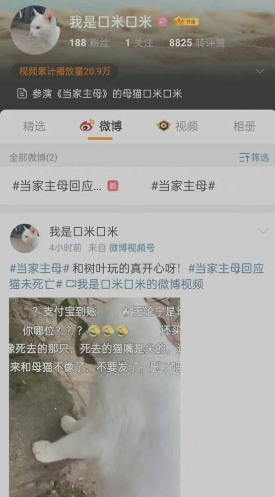 至美第一期爆料视频