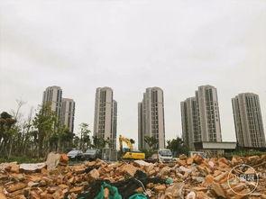 拆迁爆料厦门最新消息新闻,揭秘热点区域改造进展