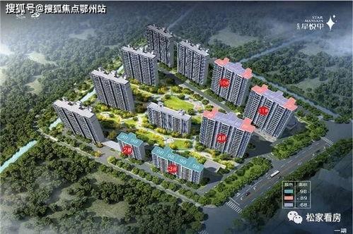 爆料心玥战队成员名单最新,揭秘最新成员名单背后的故事