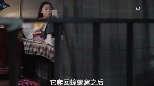 铁锤姐姐视频爆料大全最新,揭秘娱乐圈不为人知的秘密