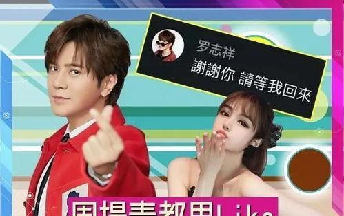 小猪嘴爆料娱乐圈,娱乐圈幕后真相大揭秘