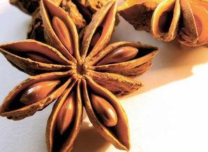 八角桂皮爆料怎么做视频,揭秘视频制作背后的秘密技巧