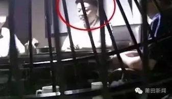 洪大炮粉丝爆料视频大全,揭秘幕后精彩瞬间