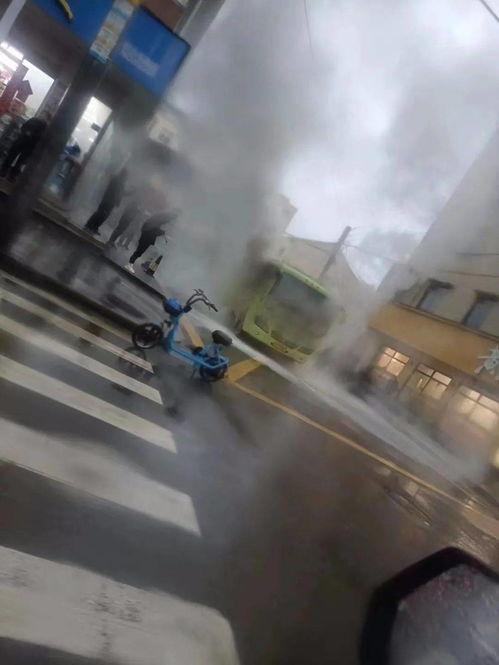 洪大炮粉丝爆料视频大全,揭秘幕后精彩瞬间