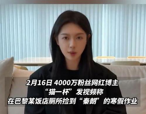 爆料假粉事件视频,网络舆论背后的真相与反思