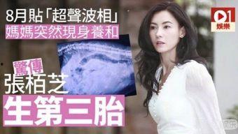 娱乐圈八卦爆料张柏芝是真的吗吗,张柏芝真实情况大起底