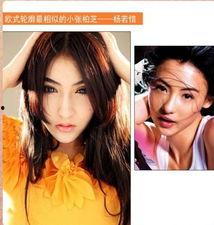 娱乐圈八卦爆料张柏芝是真的吗吗,张柏芝真实情况大起底