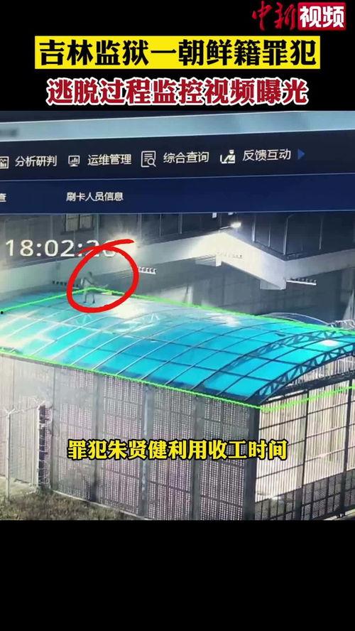 逃跑吧最新爆料信息视频,揭秘神秘事件，真相即将揭晓！