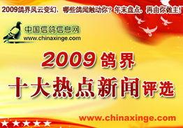 新闻热点爆料中国,引领全球创新浪潮