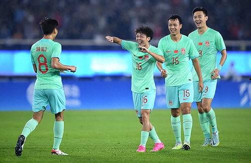 爆料国足主帅视频大全,视频大全背后的真相与争议