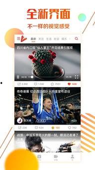 第三网站视频在线观看,精彩视频在线观看之旅