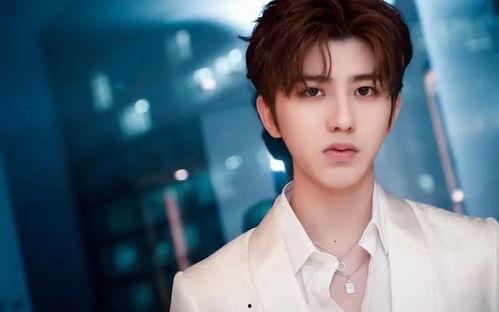 狗仔爆料蔡徐坤白鹿视频,狗仔爆料背后真相揭晓