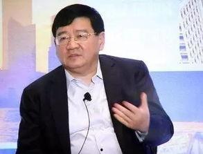 徐小平爆料视频大全最新,揭秘娱乐圈幕后真相与惊人内幕