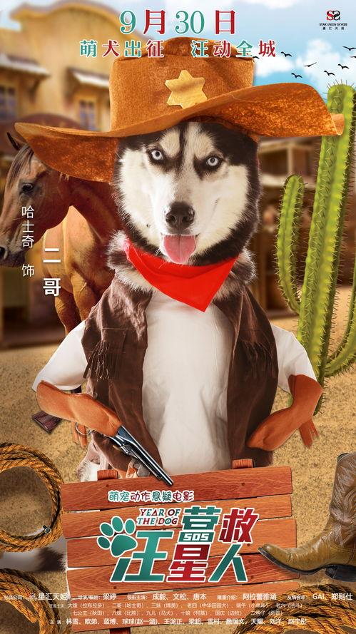 狗仔爆料狗大眼视频,狗大眼视频背后的惊人真相