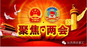 河南两会热点爆料视频