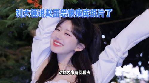 刘大锤最新爆料赵露思12人,从默默无闻到璀璨星途