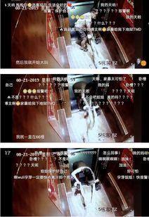 冻货爆料博主视频大全,揭秘博主视频大全背后的精彩故事