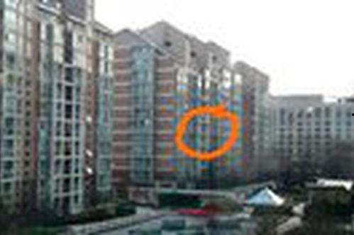 沙坪坝女士爆料新闻视频